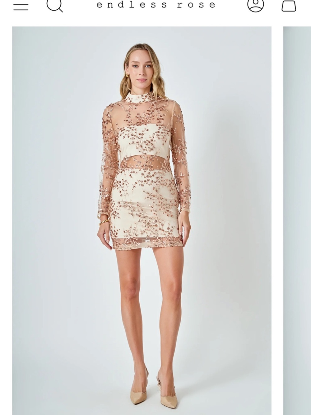 Endless Rose Nude Sheer Embroidered Mini Dress